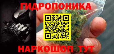 шишки Шахты