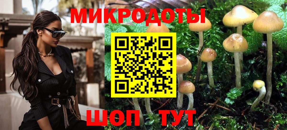Новокузнецк  Псилоцибиновые грибы Cubensis  цена   Вход с VPN 