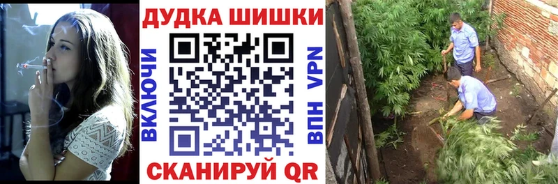 Каннабис индика Новокузнецк